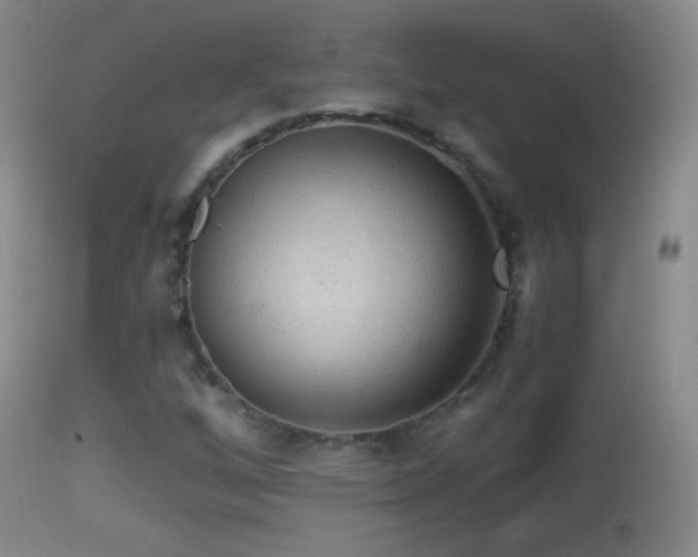 X0000114651256200910201500