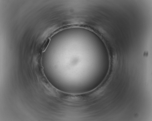 X0000114651257200910201500