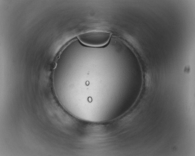 X0000114651260200910201500