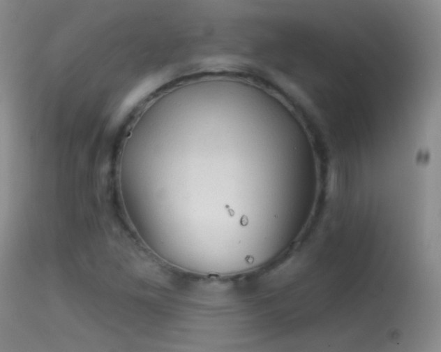 X0000114651261200910201500