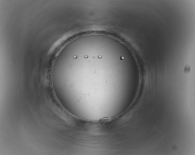 X0000114651262200910201500