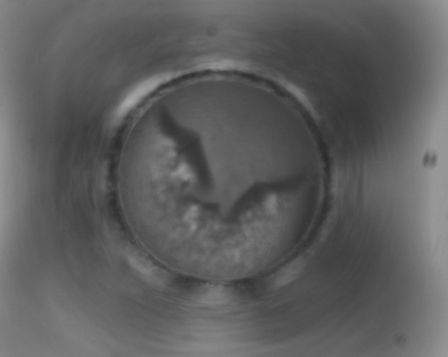 X0000114651263200910201500