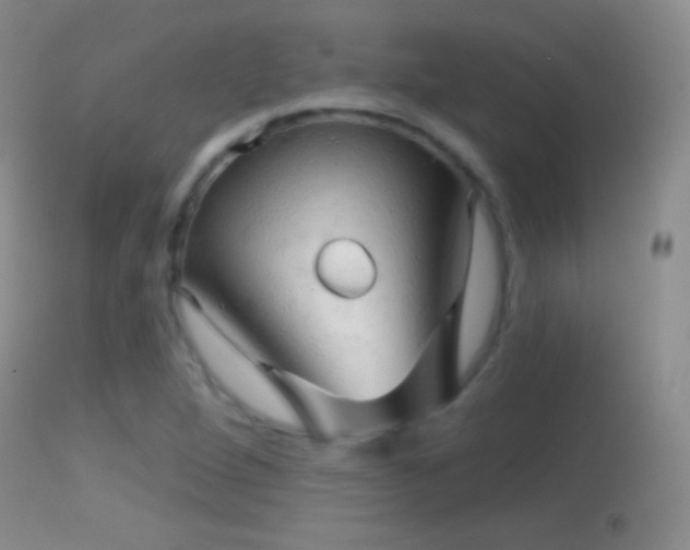 X0000114651264200910201500