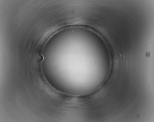 X0000114651265200910201500