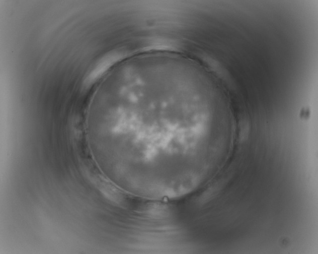 X0000114651266200910201500