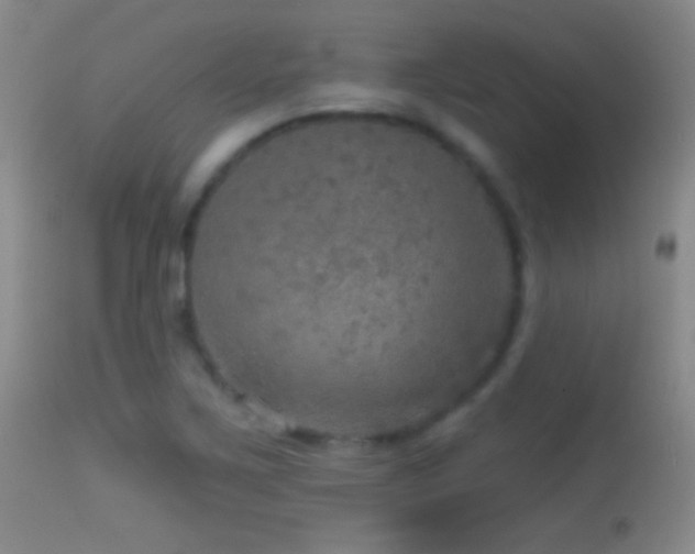 X0000114651267200910201500