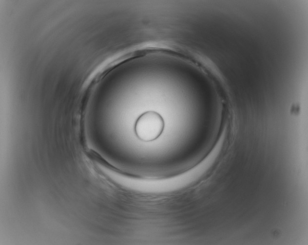 X0000114651268200910201500