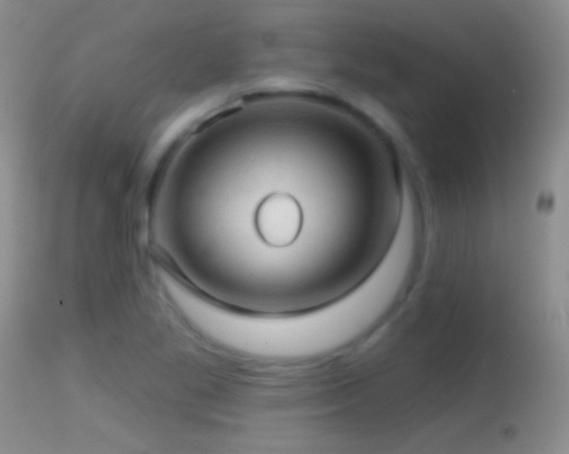 X0000114651269200910201500