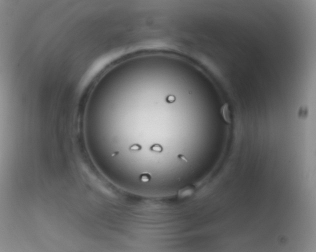 X0000114651270200910201500