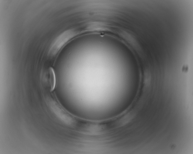X0000114651273200910201500