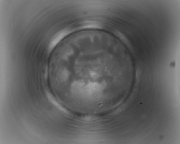 X0000114651274200910201500