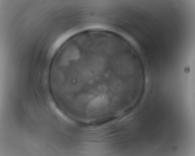 X0000114651279200910201500