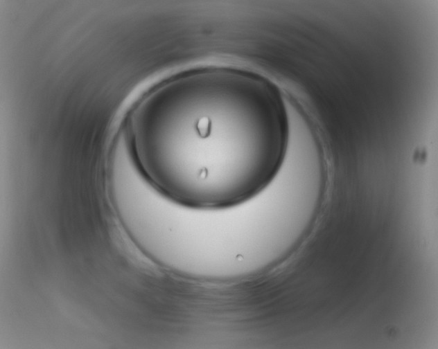 X0000114651280200910201500
