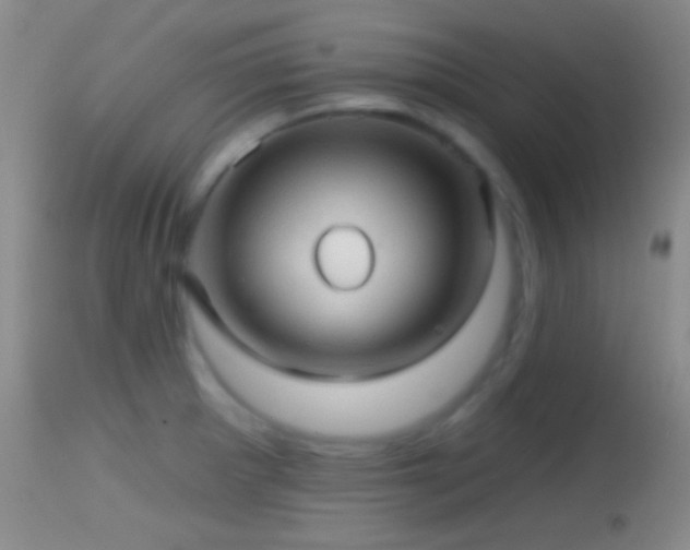 X0000114651281200910201500