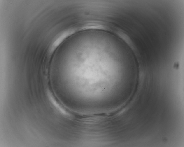 X0000114651282200910201500