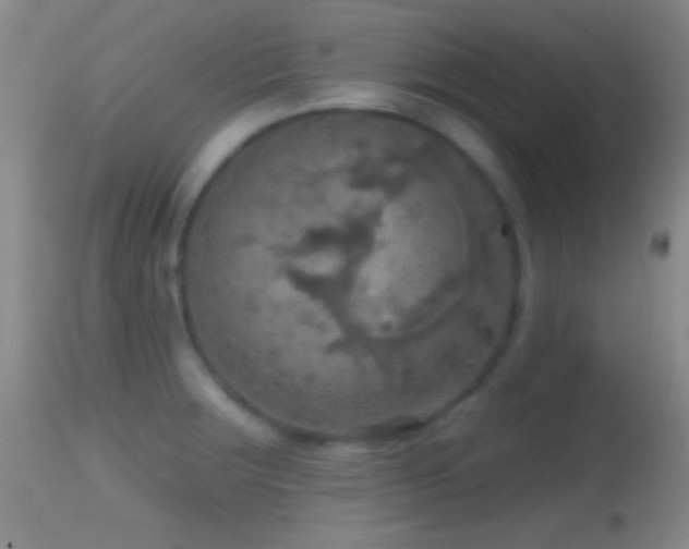 X0000114651283200910201500