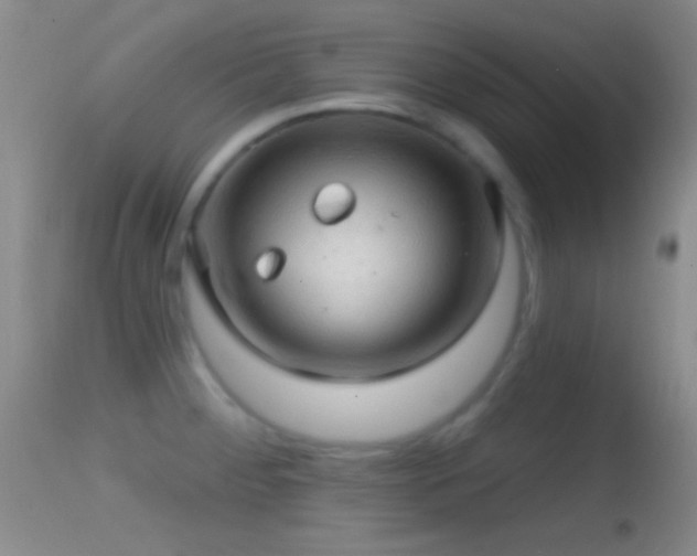 X0000114651284200910201500