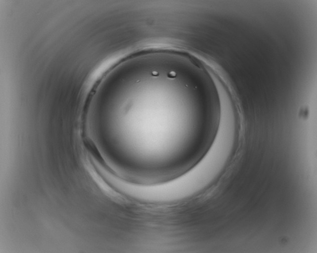 X0000114651285200910201500