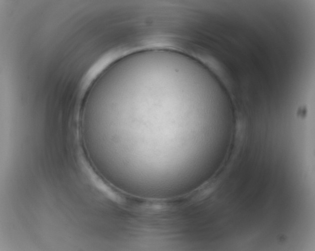 X0000114651286200910201500