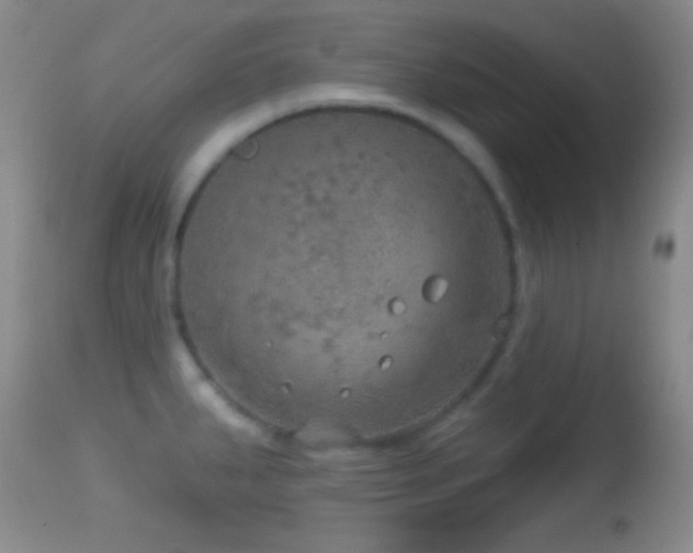 X0000114651287200910201500