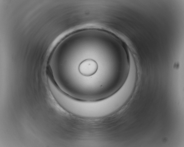 X0000114651288200910201500