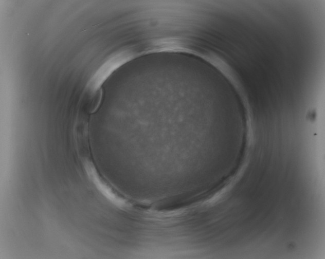X0000114651289200910201500
