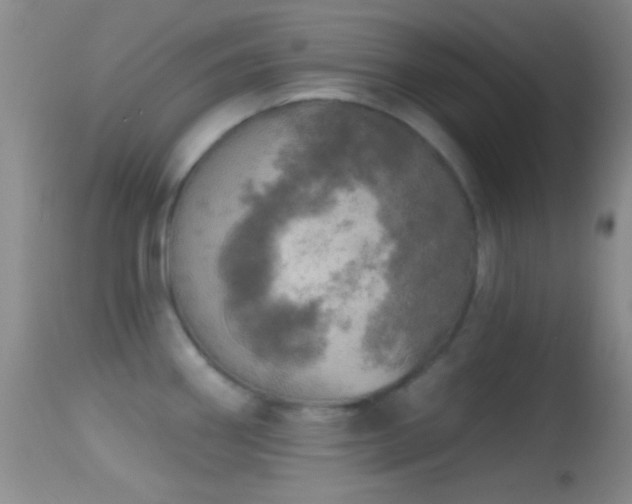 X0000114651290200910201500