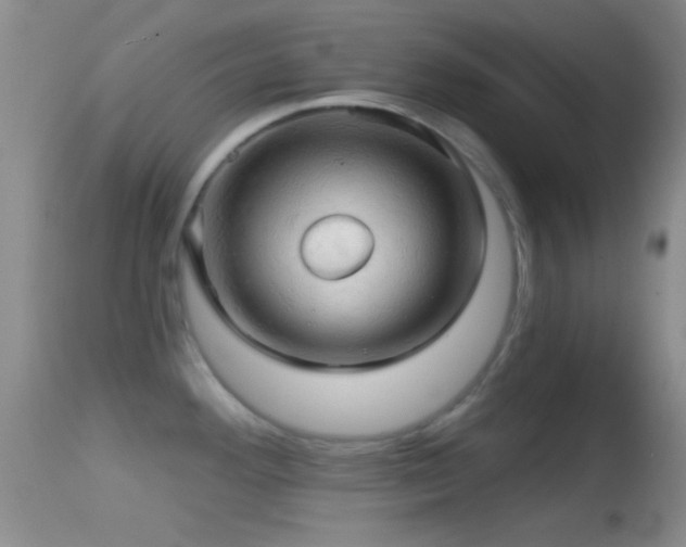 X0000114651292200910201500
