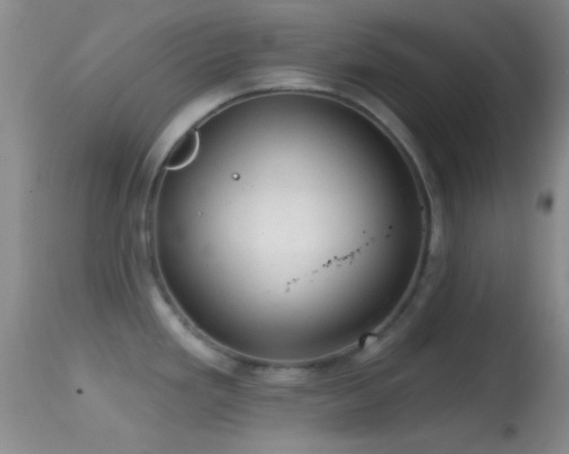 X0000114651293200910201500