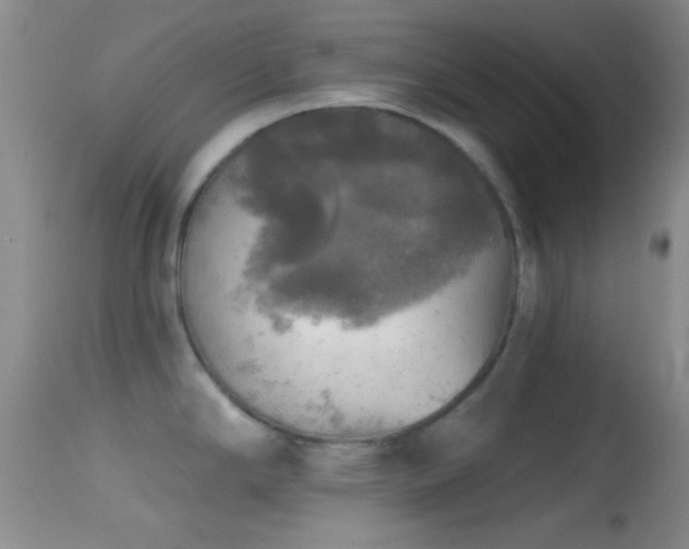 X0000114651294200910201500