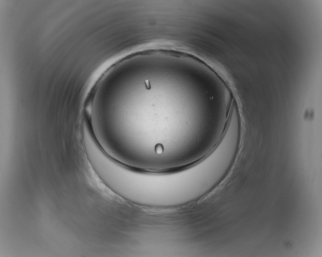 X0000114651296200910201500