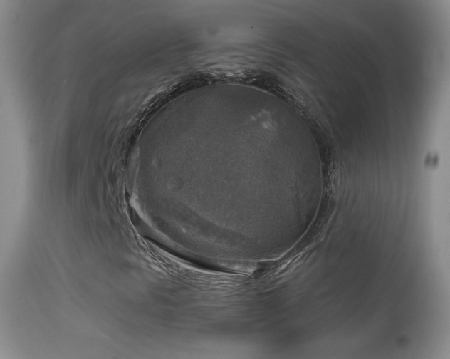 X0000114651297200910201459