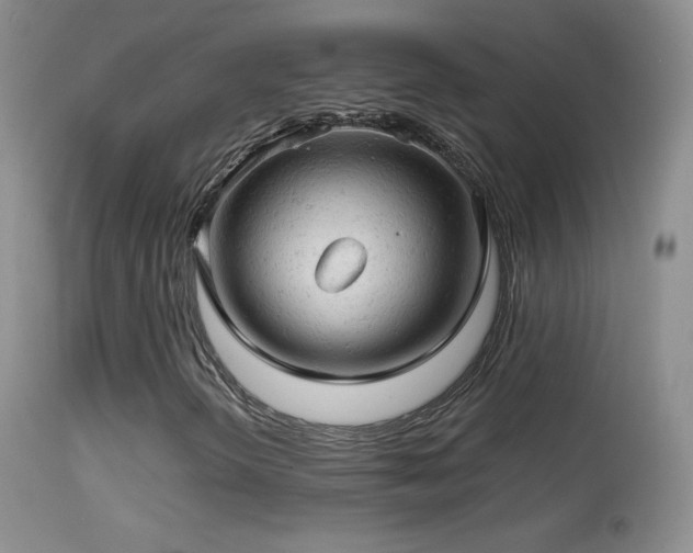 X0000114651298200910201459