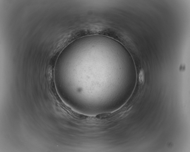 X0000114651299200910201459