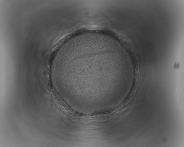 X0000114651301200910201459