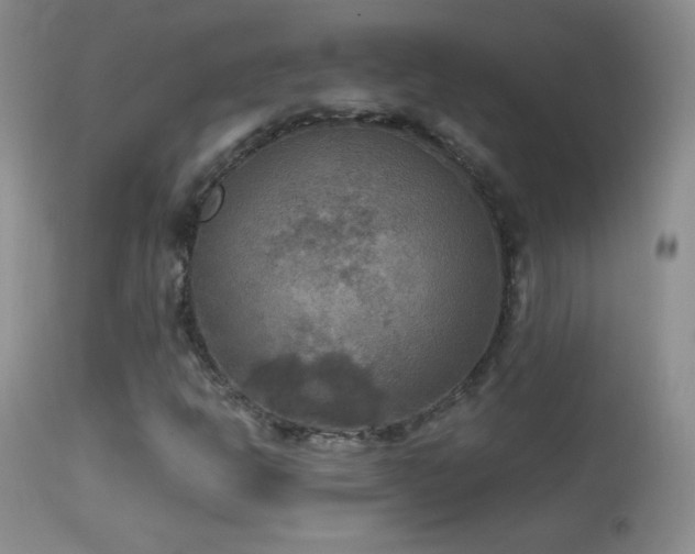 X0000114651302200910201459