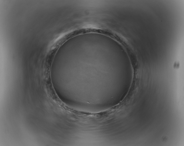 X0000114651303200910201459