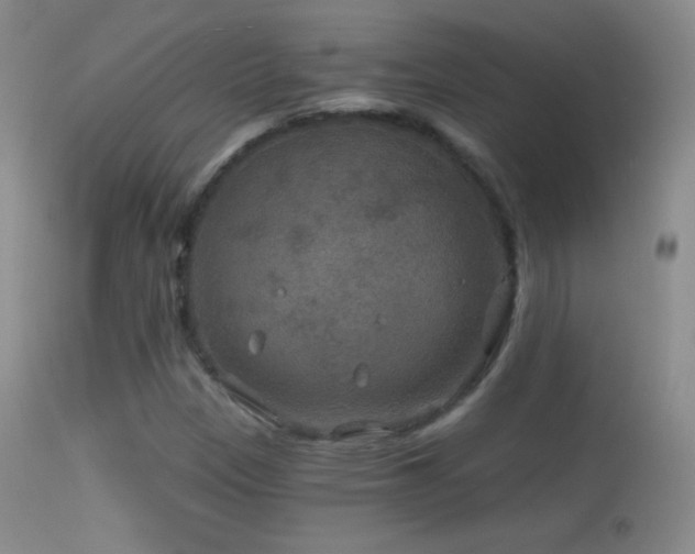 X0000114651305200910201459