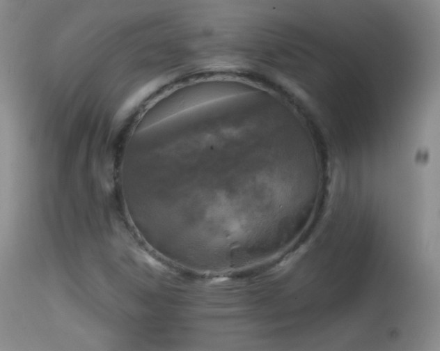 X0000114651306200910201459