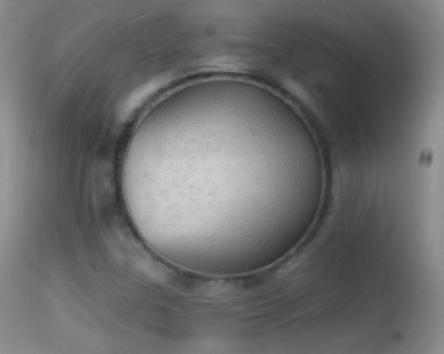 X0000114651307200910201459