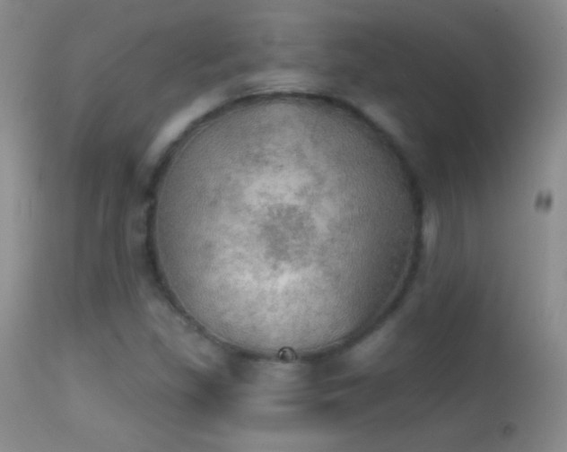 X0000114651309200910201459