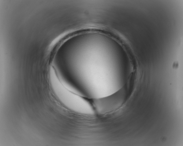 X0000114651310200910201459