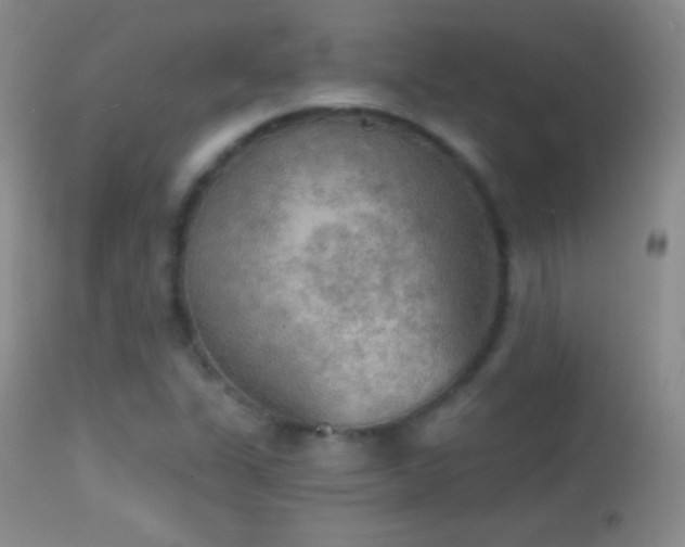 X0000114651311200910201459
