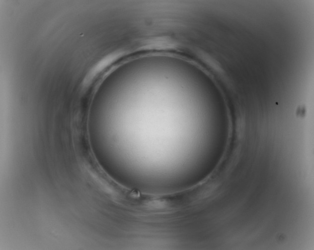 X0000114651315200910201459