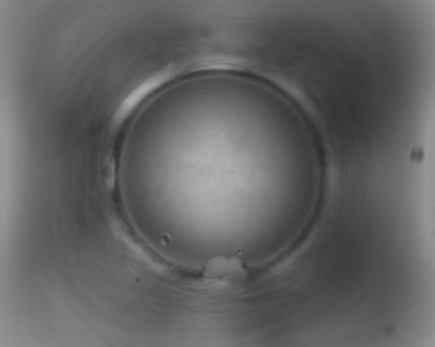 X0000114651317200910201459