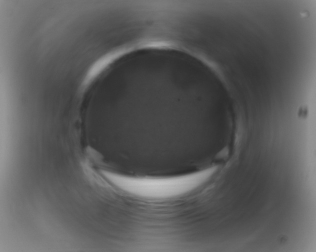X0000114651319200910201459