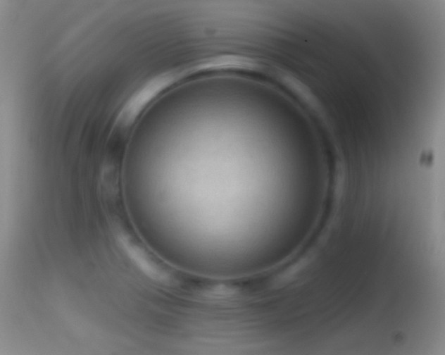 X0000114651321200910201500
