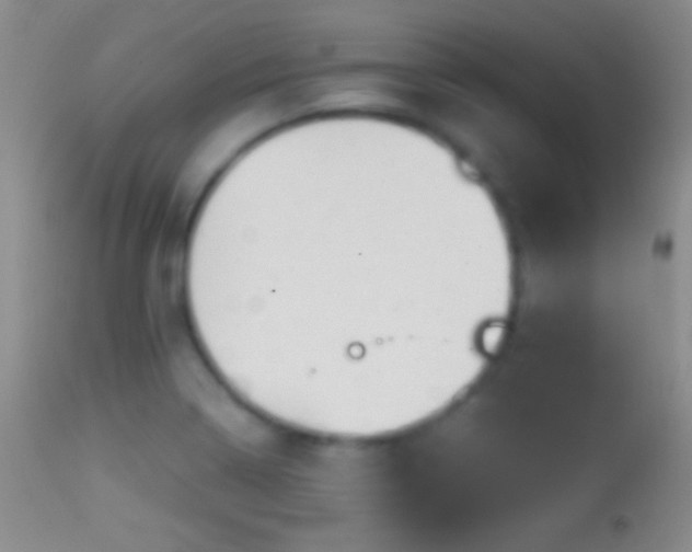 X0000114651322200910201500