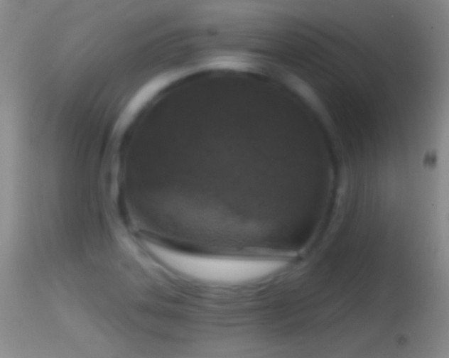 X0000114651323200910201500