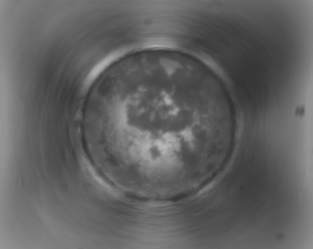 X0000114651325200910201500